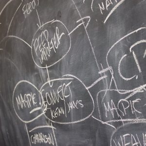 sense check your clients business plan