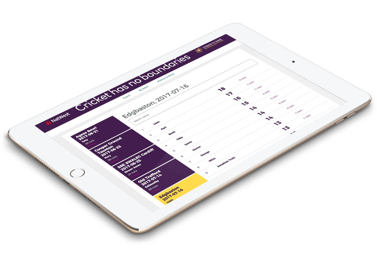 NatWest Cricket: Brand Campaign Software Results Image